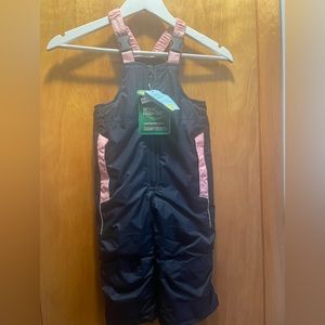 Lilly Dan girls snow pants. 2T